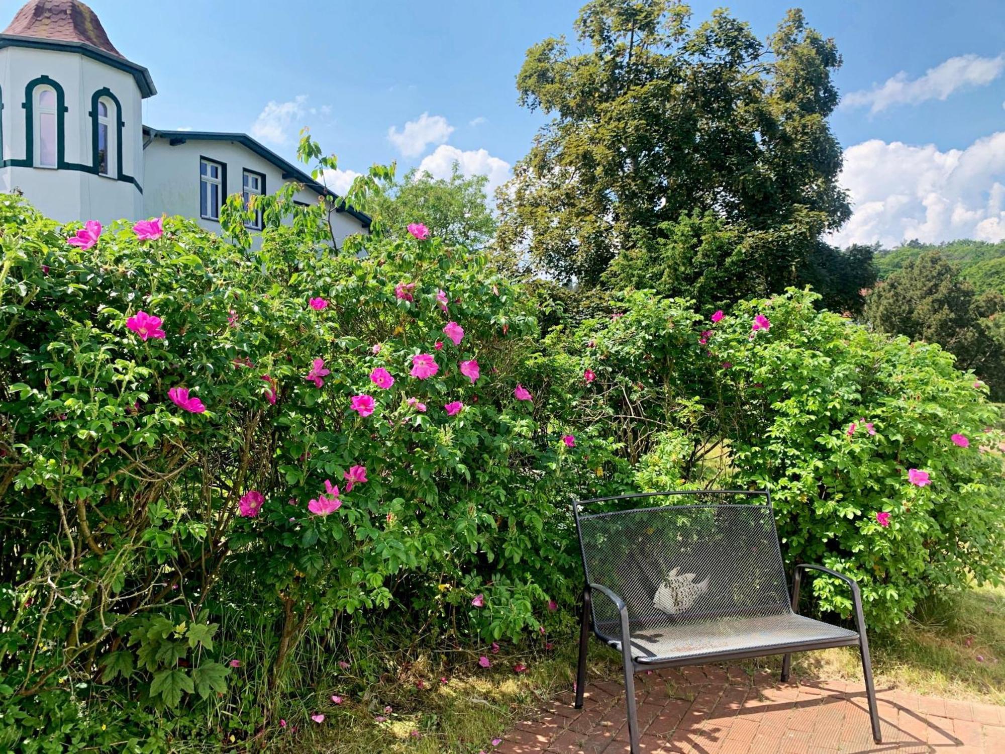 Ferienhaus Erika Ostseebad Heringsdorf Exterior foto